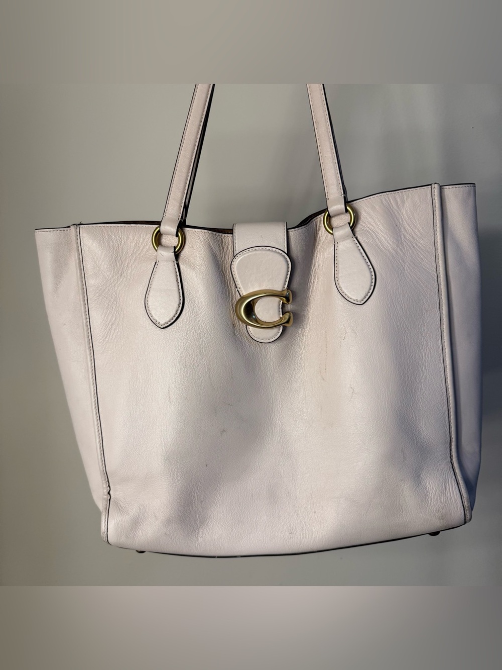 Coach Theo Large Tote Bag